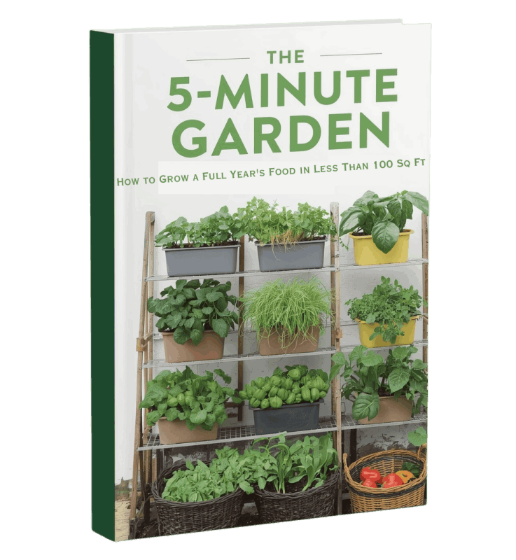 The 5-Minute Garden