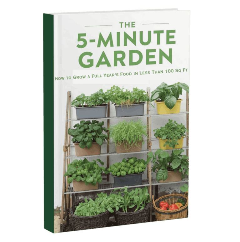 The 5-Minute Garden